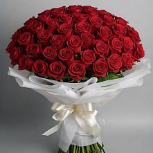 Букет 101 Красная роза Блэк Мэджик в Лесной Свердловской области