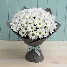 Букет цветов из:  Хризантемы #REPLACE_PRED# Лесной Свердловской области